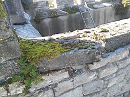 acastle 141270.jpg